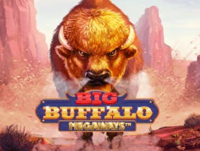 game logo by Skywind Group on casinoslott.fr