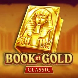 game logo by Playson on casinoslott.fr