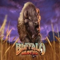 Buffalo Hunter logo by Nolimit City at SLOTT CasinoBuffalo Hunter